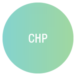 CHP icon