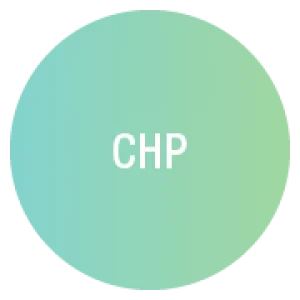 CHP icon