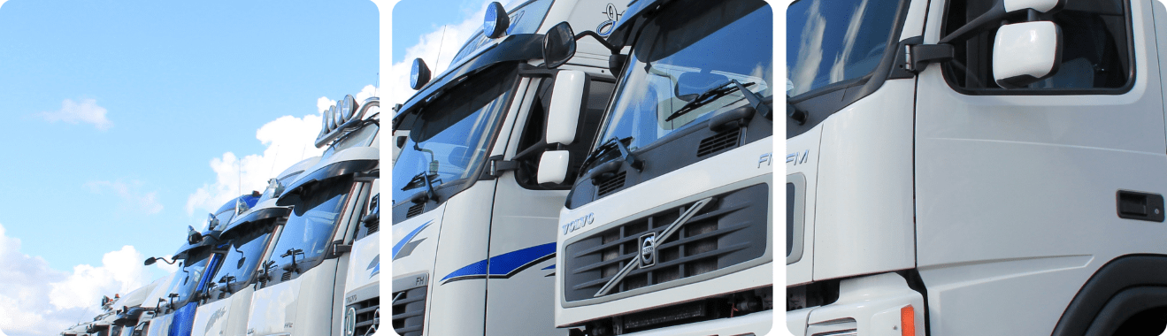 Commercial lorries lined up stationary in car park