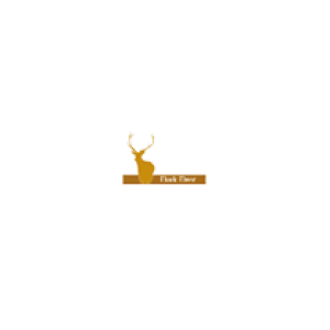 Dark Deer logo