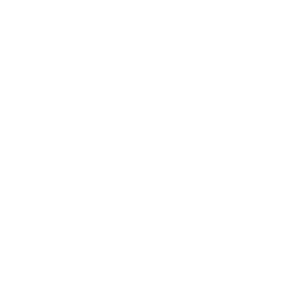 Online web form icon