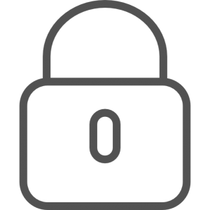 Security icon