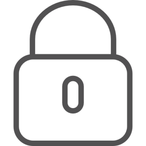 Security icon
