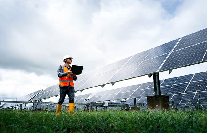 renewable-energy-farming